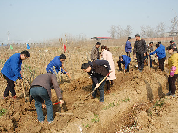 920b1fe0c37b40b88213382a2234bc36