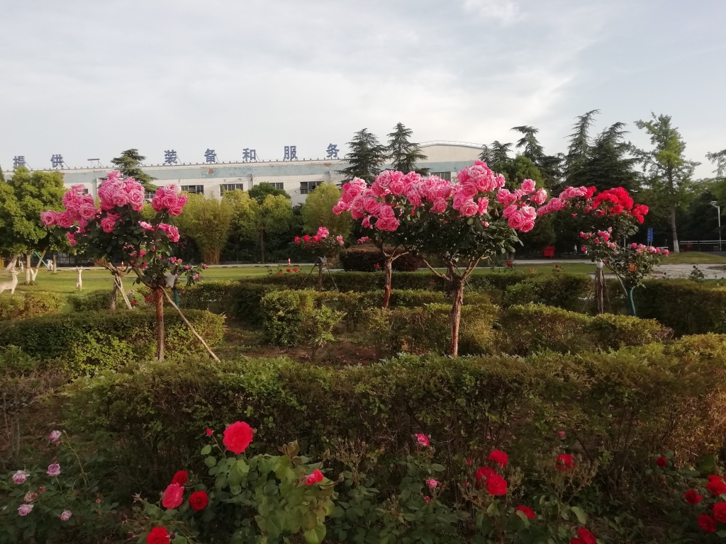 d72565710dd24ff5b6613e153020529f