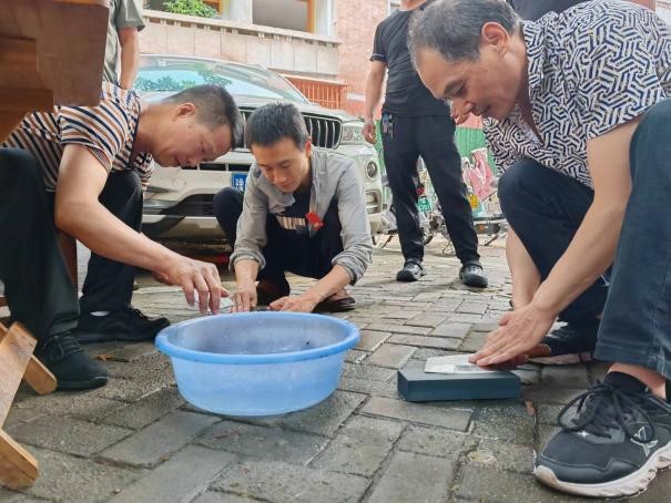 d6b2d15d1da441de830f3f91f5b8d5b0