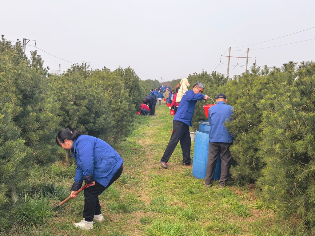 352130c474ce4447b311107ef866cb63